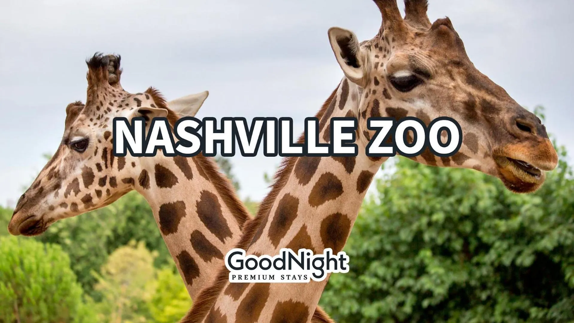 Parthenon Park-Odyssey-Heart Of Midtown Villa Nashville Holiday home